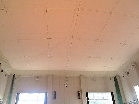 防護ネット柵取付後状況の天井